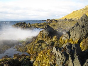 Hot spring at Skarð